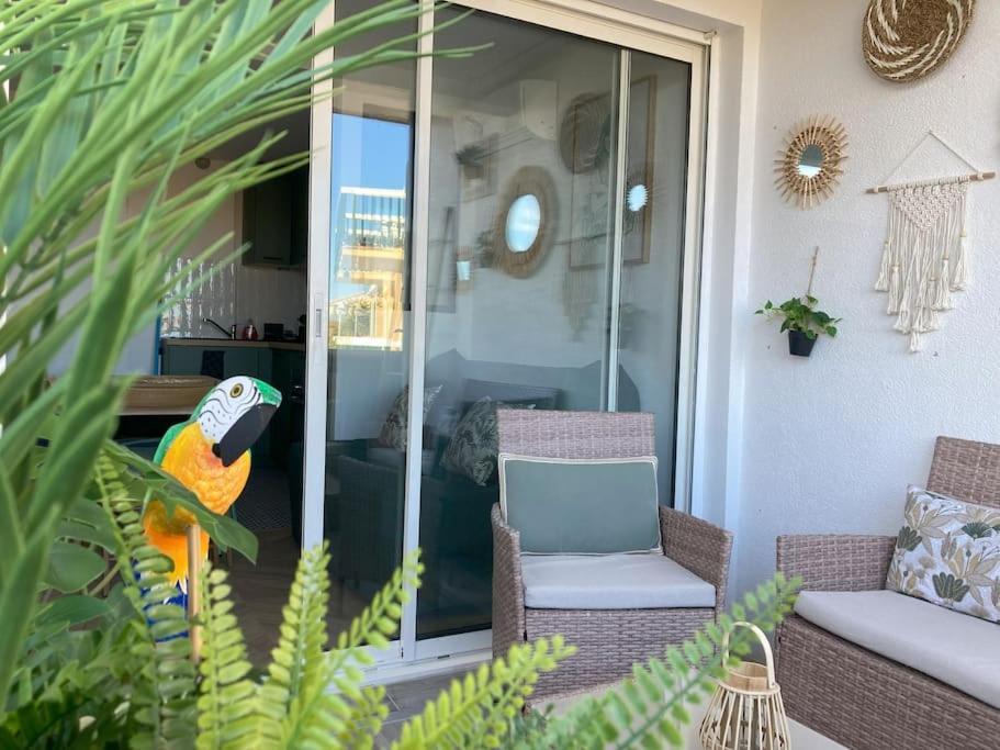 Tropical Duplex : Bord De + Piscine Apartment *
