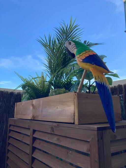 Tropical Duplex : Bord De + Piscine